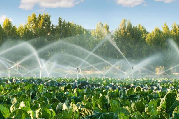 التغير المناخي و تدهور الأراضي يهددان الزراعة السورية