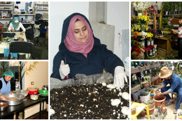 المشروعات الصغيرة في سوريا : رافعة الاقتصاد والتنمية