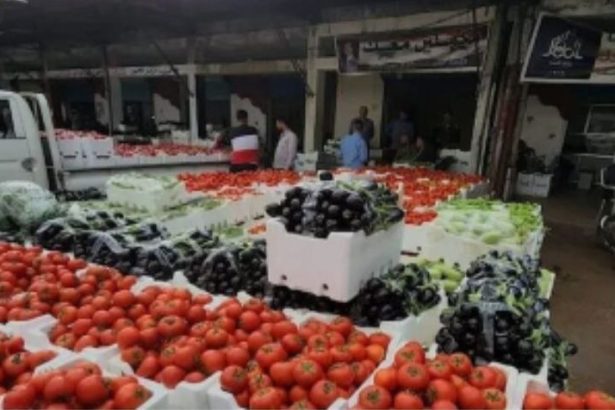 750 طناً يومياً صادرات الخضراوات والفواكه إلى العراق والخليج