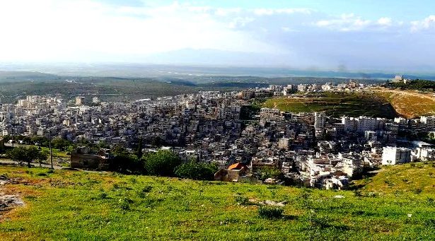 زراعة الزيتون في سلقين : النهضة الخضراء تعيد الحياة للشمال السوري